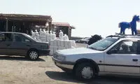 عکس: آخرین بازمانده دریاچه ارومیه