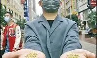 دور ریختن طلا، در اعتراض به دور ریختن برنج!