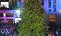 مشهورترین درخت‌های کریسمس +عکس