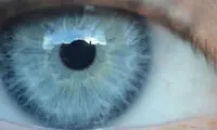 کنترل موبایل با چشم امکان پذیر می شود