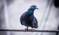 ۱۷ مساله جالبی که هر روز می‌بینیم اما هرگز علت وقوعشان را نمی‌دانیم