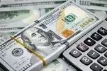 پاسخ روزنامه دولت به منتقدان ارز تک نرخی