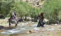 آمار عجیب و غریب مهاجرت معکوس در ایران 