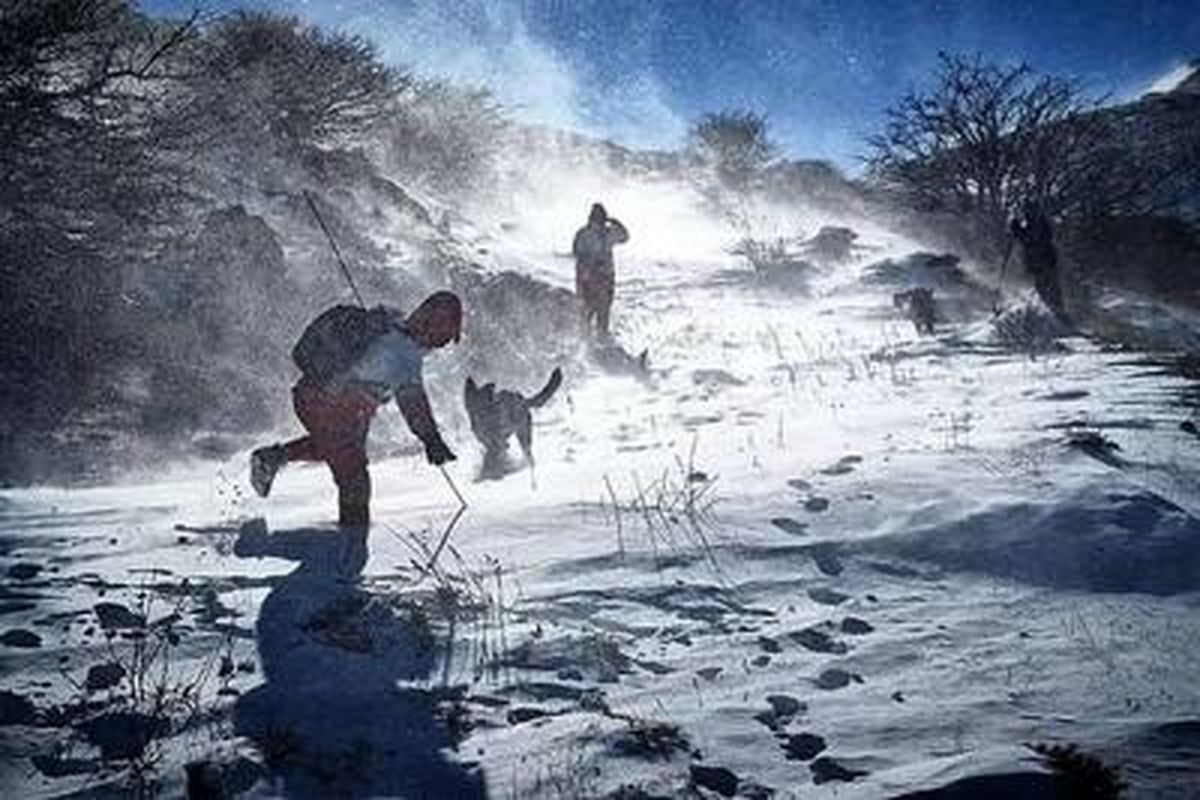 بارش رویایی برف، ارتفاعات تالش را سفیدپوش کرد