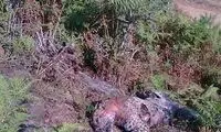 تصویری تاسف برانگیز از یک اقدام ناپسند
