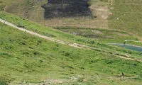 نقاشی چوپان در سوئیس