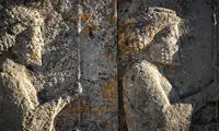 گل سنگ‌ها بلای جان «تخت جمشید» شدند