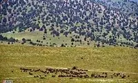 عکس؛ طبیعت زیبای شاه کوه گلستان