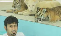 باغ وحش خانگی جوان اماراتی