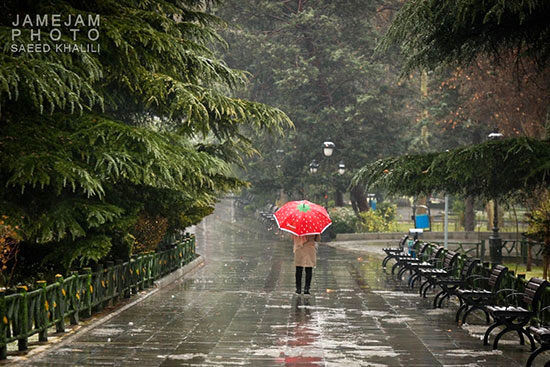 بارش برف در تهران