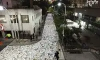 رودخانه ای با ده هزار کتاب در تورنتو