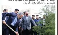 نوبخت: درخت کاری، دلچسب است