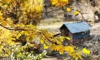 تصاویر: طبیعت پاییزی گیلان