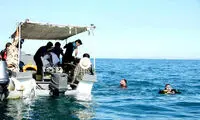 عکس: کاشت درخت نخل در عمق 40متری
