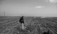 زندگی بر بر فراز زباله ها