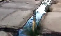 رهاشدگی فاضلاب انسانی در منطقه مسکونی