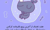 تصویرسازی‌های جالب از بهترین خبر‌های سال ۲۰۱۹
