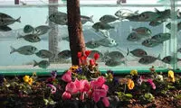 عجیب ترین حصار برای خانه +عکس