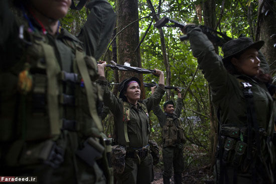 زنان و مردان چریک در جنگل‌های کلمبیا