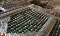 به زودی قبر زينب (ع) را هم نبش مي کنيم