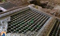 به زودی قبر زينب (ع) را هم نبش مي کنيم