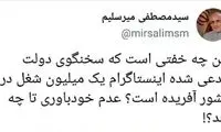 میرسلیم: اشتغال‌زایی با اینستاگرام خفت‌بار است!