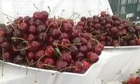 هر کیلو گیلاس زمستانی، ۱۲۰ هزار تومان!