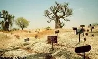 زندگی انسان ها روی صدف ها +عکس