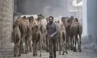 «روز بلوا» به نیمه رسید