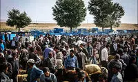 عکس: بازار دام در آستانه عید قربان