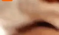 شوخی‌های جالب؛ از واردات خوراک دام تا شاباش برای اینستاگرام!