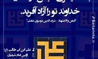 هایلایت (288)