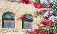 بوشهر هست و قلیه ماهی و هوای دلپذیرش!