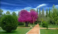 روایت رسانه‌های جهان از جاذبه‌های ایران