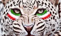 تقدیر مداح سرشناس از بازیکنان تیم ملی