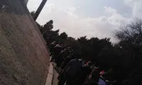در‌های ورزشگاه امان باز شد