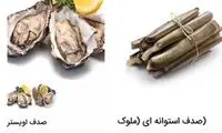 ارسال محصولات دریاییِ لاکچری با پست هوایی!