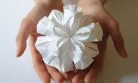 هنر کاغذ و هندسه! +عکس