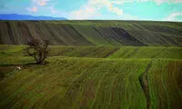 ایرانِ زیبای ما (50)