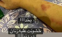 ارادتمند مهتاب، هانیه، شقایق، بهنوش و سایر رفقا