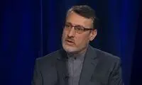 بعیدی‌نژاد به توییت سفیر آمریکا واکنش نشان داد