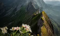 تصاویر برتر مسابقه بین‌المللی عکاسی از مناظر سال ۲۰۱۸