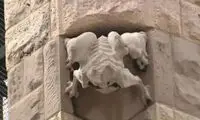 مرگ با بدشانسیِ محض