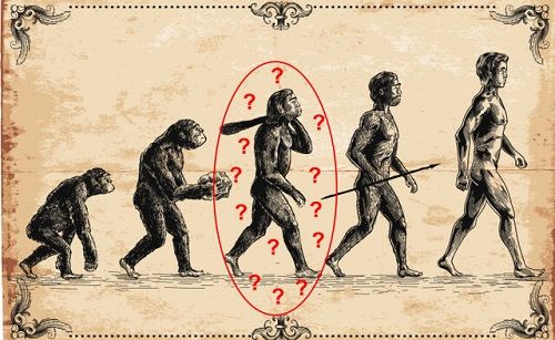 محققان: اجداد انسان، میمون‌ها نیستند