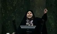 حمله پایداری‌ها به پروانه سلحشوری