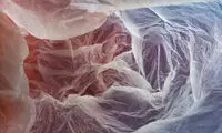 با دیدن «منظره کیسه‌های پلاستیکی» به فکر می‌افتید
