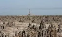 هورالعظیم خشک شد +عکس