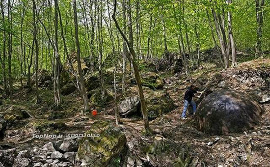 رازی پنهان در دل جنگل های بوسنی