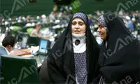 حضور متفاوت سلحشوری در صحن مجلس