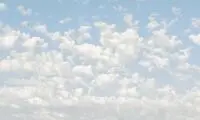 رنگ سال ۲۰۲۶ رسماً اعلام شد